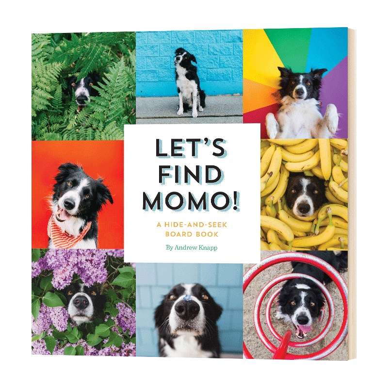 英文原版 Let's Find Momo!让我们找到莫莫3狗狗摄影书寻找莫莫英文版进口英语原版书籍