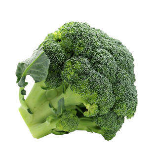 碧玉西兰花种子春秋播家庭菜种籽盆栽蔬菜种孑花菜绿西蓝花蟋蟀牌