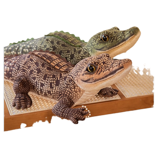 仿真大号鳄鱼毛绒玩具玩偶抱着睡觉的娃娃男生长条抱逼真公仔摆件