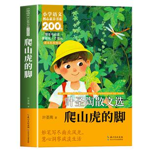 【老师推荐】四年级阅读课外书必读正版小学语文核心素养书系四年级上册书目爬山虎的脚爬天都峰一只窝囊的大老虎森林报推荐好地方