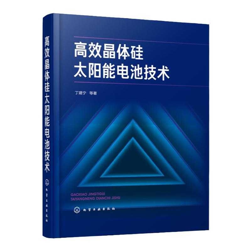 高效晶体硅太阳能电池技术 高效晶体硅电池制备及性能研究关键制造技术发展趋势书籍 硅太阳能电池领域技术人员的参考著作