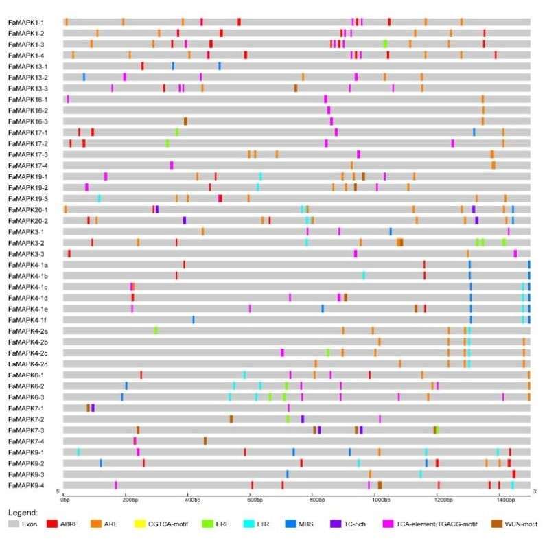 网络药理学分子对接中药复方活性成分收集药物靶点网络富集通路