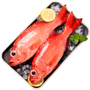 红石斑鱼礼盒鲜活冷冻超大红鱼龙胆深海富贵鱼非东星斑新海鲜水产