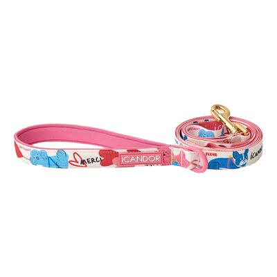 iCANDOR韩国进口宠物狗狗中小型犬彩色彩项圈牵引绳Gentle Leash
