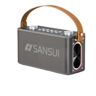 山水 T93手提蓝牙音响带话筒旋钮大音量大功率乐器广场舞户外音响