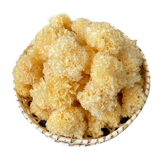 椴木小银耳白木耳干货非特级非野生本草古田丑小朵银耳出胶旗舰店