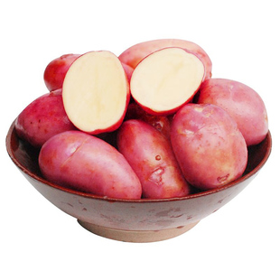 云南1800米高山红皮土豆五斤装包邮-2025年新鲜土豆正在采挖发货