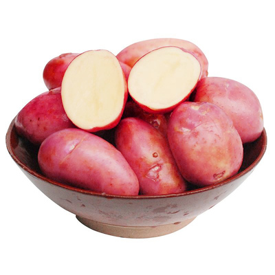 高山红皮土豆云南洋芋新鲜马铃薯