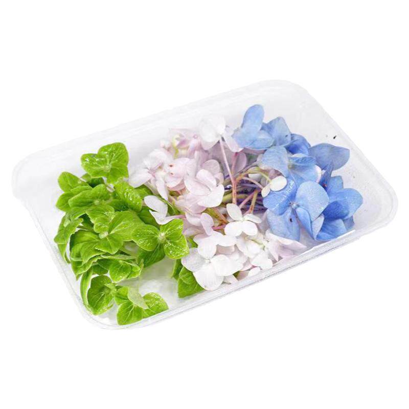 三色绣球花新鲜摆盘装饰点缀花草