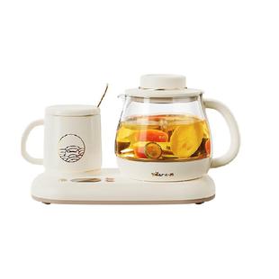 小熊养生壶家用多功能组合套装煮茶壶办公室小型煮茶器2025新款