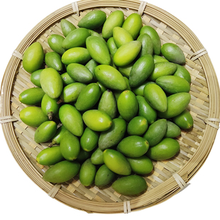 2025新鲜二号青橄榄原味酥甜种广东潮汕金灶吉之祥水果生吃孕妇