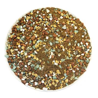 多肉植物营养土进口插换专用