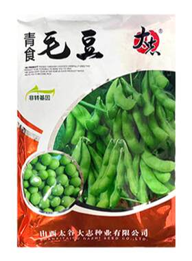 菜青食毛豆种子夏季高产夏季