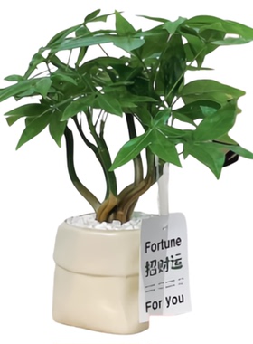 造型发财树桌面盆栽室内客厅奇趣招财小绿植四季常青好养活植物