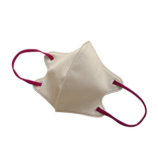 2025新款一次性日本3d立体原单口罩透气高颜值撞色时尚成人独立装