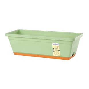 豌豆苗专用芽苗菜种植盘种植盒麻豌豆种子四季室内阳台蔬菜种籽架