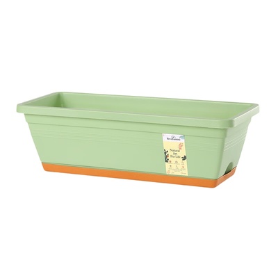 豌豆苗专用芽苗菜种植盘种植盒