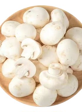 新鲜双孢菇口蘑小白菇不漂泊