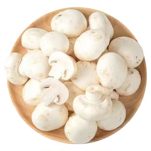 双孢菇拒绝漂白笨蘑菇自然生长现采新鲜小白菇白蘑菇口菇带根