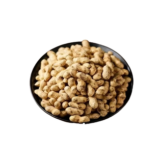 新鲜花生带壳原味铁锅柴火炒花生农家手工现炒地锅沙炒花生年货节