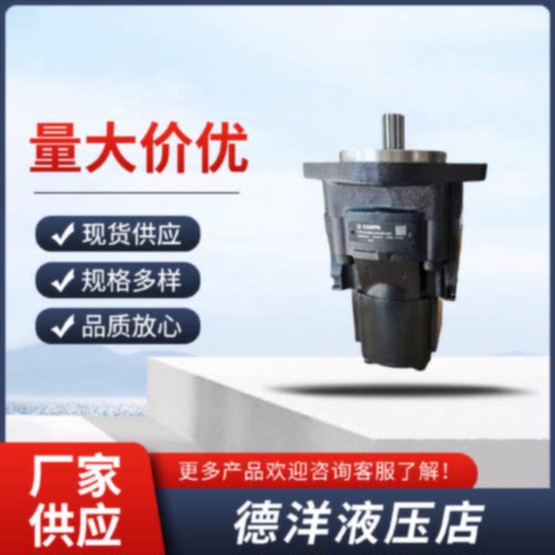 询凯斯帕齿轮泵KP30.2433S3LMDMB45HSCPLP20液压帮浦