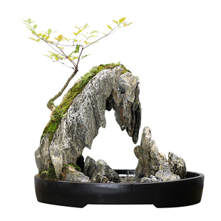 室内假山流水摆件山石盆景真石头英石造景天然原石餐厅茶桌微景观