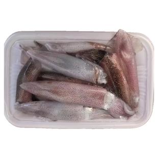 大号东山岛活冻小管红管鱿鱼一口管脆管野生灯捕速冻白灼小管