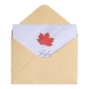 贺卡小卡片套装折叠高级简约ins七夕节感谢卡代手写祝福礼物明信片学生生日送男友送女友信纸信封卡片纸定制