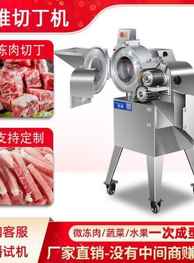 全自动冻肉切丁机商用多功能蔬菜切丁机猪肉牛肉鸡胸切丁机工厂
