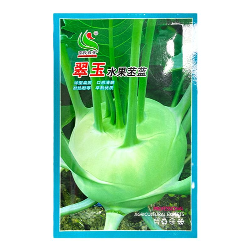 苤蓝种子早熟高产天津青苤蓝水果苤兰种籽大田秋季庭院蔬菜种孑