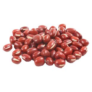 【宫灯红小豆种子】红小豆五谷杂粮相思豆红粮食种子高产营养豆种