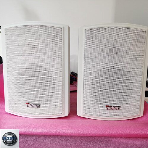 可维修TODUN托顿壁挂型号TD601高低音两单