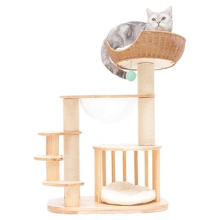 宽喵矮脚猫爬架全橡胶木猫窝猫树一体小型幼猫跳台曼基康短腿猫架