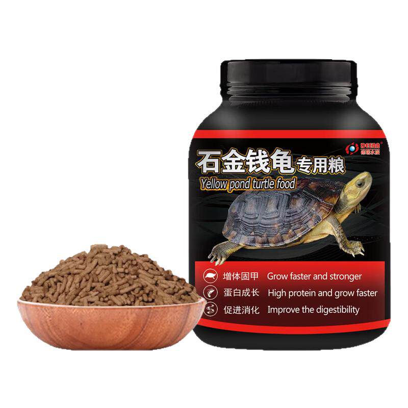 石龟金钱幼龟开口粮石金钱龟小粒