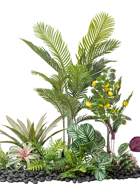 仿真散尾葵绿植植物造景景观