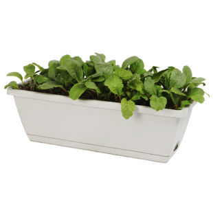 2024新款长方形塑料花盆特大号家庭阳台种菜专用盆草莓盆特价清仓