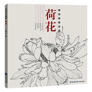 白描技法精解 荷花 中国画花草植物工笔画白描底稿书白描勾线画谱美术绘画初学者入门到精通基础教程 线描写生范例