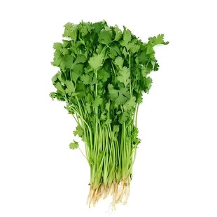 四季大叶香菜速生香菜浓香高产三天生香菜农家种香菜新鲜蔬菜大全