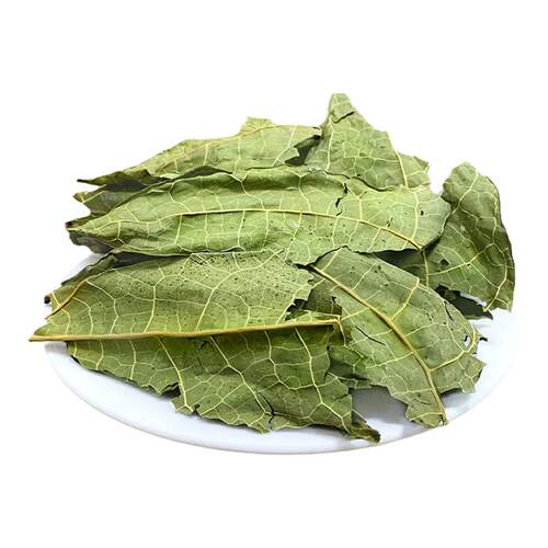 兔兔窝总店 草先生绿纤脆护肠木瓜叶兔子仓鼠豚鼠荷兰猪龙猫零食