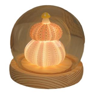 海胆贝壳小夜灯摆件diy生日礼物送女生女友治愈氛围灯元旦节礼物