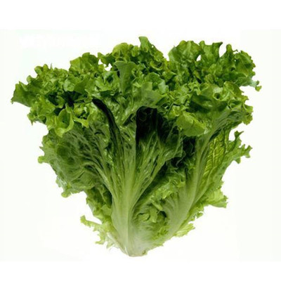 沙拉食材新鲜顺丰包邮