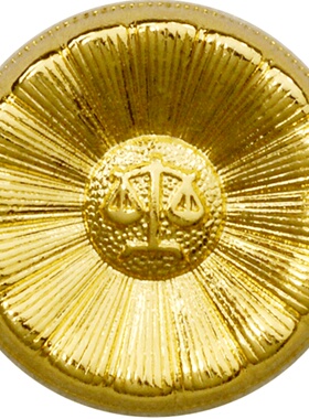 羿采逆转裁判律师游戏金属胸针扣