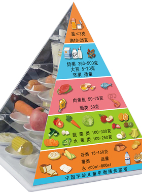 学龄前儿童膳食模型模型可定制