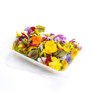 混合花新鲜三色堇酸摸黄菊花跳舞兰玫瑰花瓣蛋糕摆盘装饰花草点缀