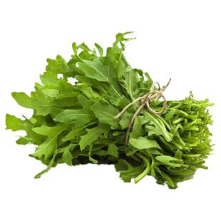 【魔月】 芝麻菜 Arugula 100g 火箭菜新鲜沙拉菜色拉苦菜VGBB