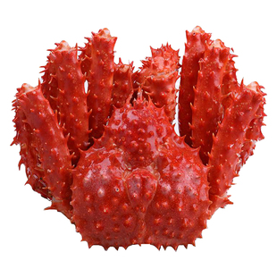 1只1斤多帝王蟹海鲜鲜活熟冻特大螃蟹水产皇帝蟹帝皇蟹皇后蟹雪蟹