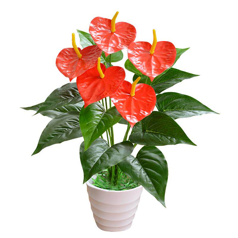 红掌室内客厅落地植物盆栽仿真花
