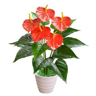 红掌仿真花盆栽套装塑料花假花室内客厅落地装饰仿真植物盆栽摆件