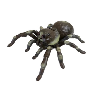 遥控喷雾蜘蛛儿童红外线仿真新奇特电动玩具软胶昆虫跨境恐怖玩意