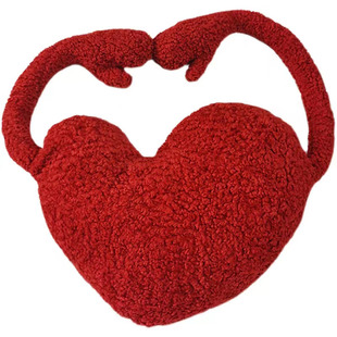 2025网红抱枕爱心车内抱枕野兽派新婚礼物沙发抱枕高级感心形抱枕